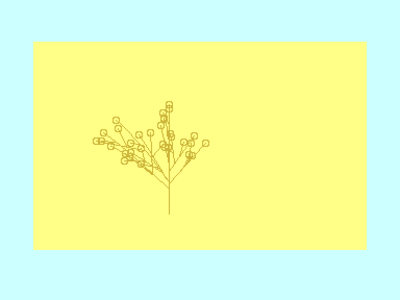 plus4tree1.png